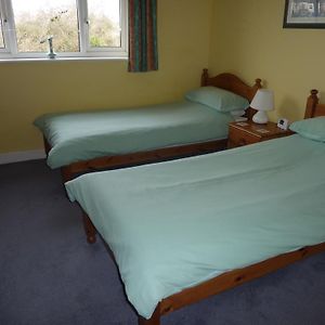 Standard Twin Room Garden View
